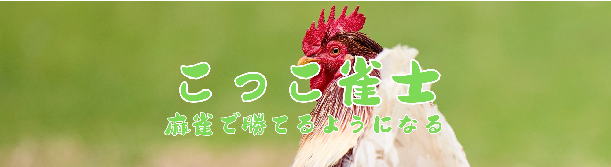 こっこ雀士