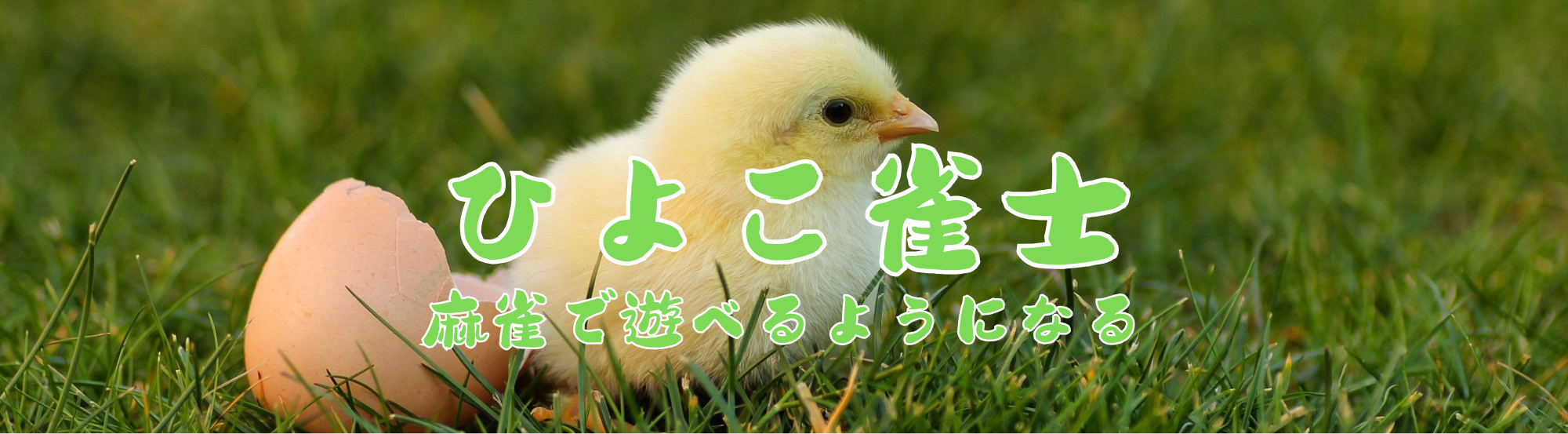 ひよこ雀士